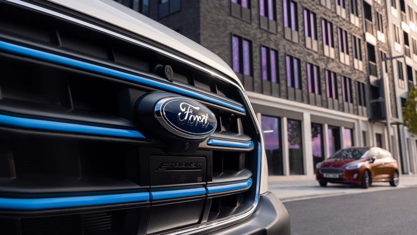 Detail of Ford logo oval badge